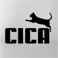 Pánske tričko CICA