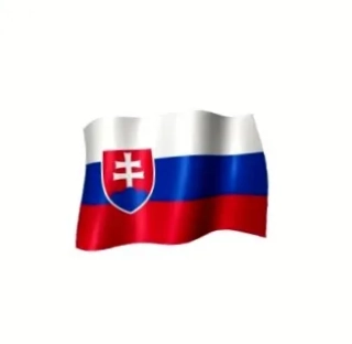 Slovenská vlajka hrubá 100x150 SVK
